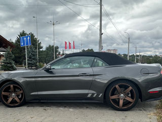 Ford Mustang foto 3