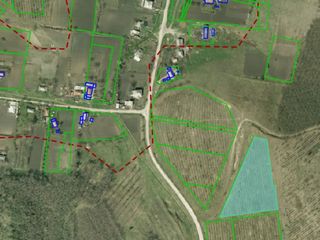 Land for sale! Vand teren! Земля под винодельню!