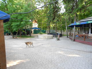 парк Вадул-луй-Водэ, Первая линия, свой берег, кап строение. foto 3