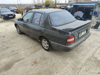 Nissan Sunny foto 3