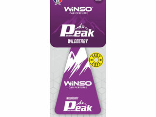 Winso Peak Aroma 5Ml Wildberry 538300 foto 1