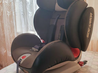 Scaun auto copii Chipolino Nomad Isofix  bej foto 2