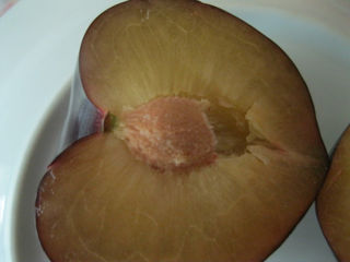  Copăcei ! / Саженцы ! Cais ( abricos ) soiul   Bebeco -  ( soi grecesc ) ... foto 8