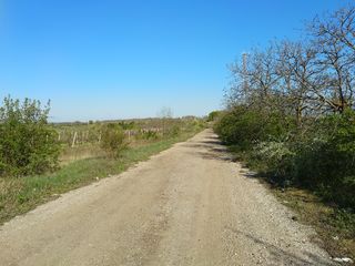 Отличный участок для благоустройства базы отдыха или престижных вилл. foto 2