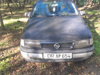 Opel Vectra foto 8