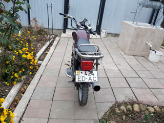 Alpha Moto zs50f foto 3