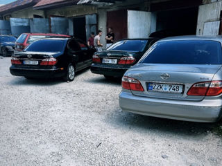 Nissan Maxima foto 7