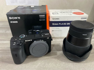 Sony 6600 + E-mount Sigma 16mm f1.4