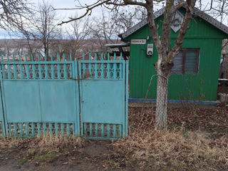 Продается дачный участок возле озера Пятихатка.(Резены) фото 7
