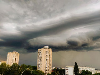 Cameră, 12 м², 6/17 et.