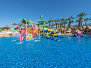 Reef Oasis Beach Resort 4*  de la 600 euro foto 2