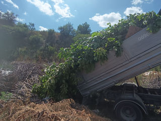 Oferim servicii de îndepărtare și reciclare a deșeurilor de construcții,Demolarii.. foto 6