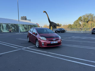 Prius 30 liber spre chirie