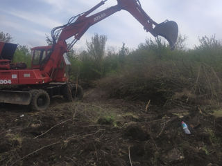 Servicii defrișări, excavator foto 4