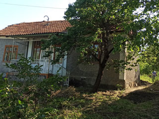 Se vinde teren de construcții + casa veche 6,2 ari în Călărași foto 4