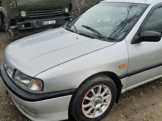 Nissan Primera foto 5