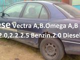 Opel Omega foto 7