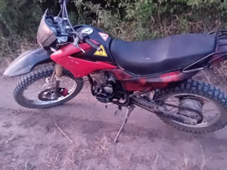 Lifan 250cc 169fmm foto 1