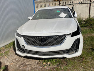 Cadillac CT5 foto 3