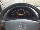 Mercedes Sprinter 313 CDI foto 5