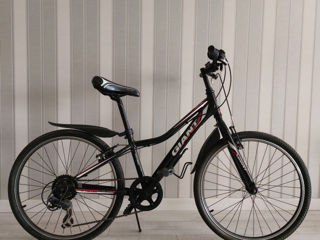 Bicicleta adolescenti Giant 24"