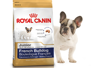 Royal Canin , корм для собак - " French Bulldog "