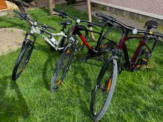 Se vind 3 biciclete penru familie GIANT in stare ca noi. foto 1