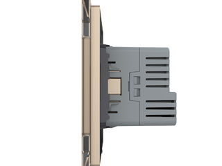 Priza Schuko cu iesire USB-C 18W Livolo, Auriu foto 3