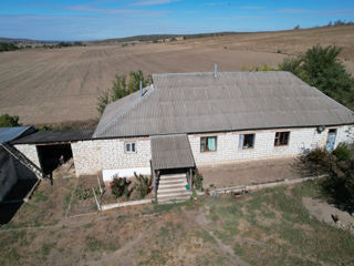 Сельскохозяйственная земля (Тараклийский район, село Мусаит) foto 3