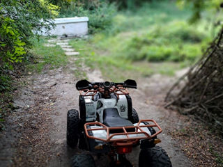 Boss ATV foto 4