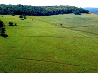 Hincesti 19 hectare pe un număr cadastral marginea orasului lingă pădure foto 8