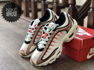 pegasus 37 ou vomero