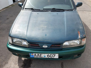 Nissan Primera foto 3