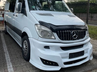 Mercedes Viano foto 6