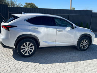 Lexus NX Series foto 10