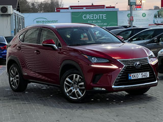 Lexus NX Series