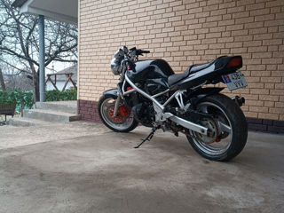 Suzuki Bandit foto 2