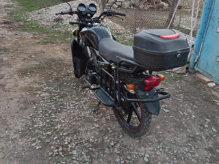 Viper Zs50f