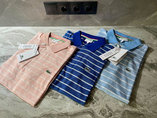 Polo, Original, Nou, Boss, Lacoste, Gant! foto 5