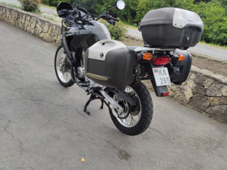 Honda Transalp 650 foto 8