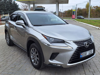 Lexus NX Series foto 6