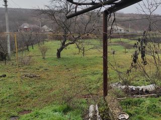 Участок 58 соток 12 км от Кишинева (от Чекан ) foto 3