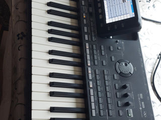 Korg Pa 3 x Pro. 76 clape!!!