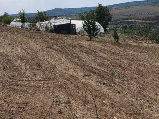Vând afacere cu sere la cheie in laloveni,
s.Suruceni. foto 6
