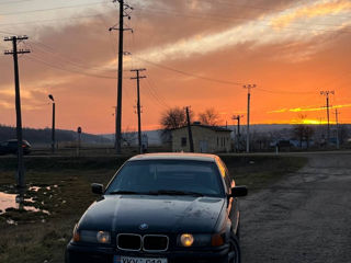 BMW 3 Series foto 9