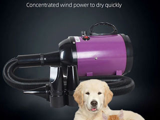 Профессиональный фен компрессор для сушки шерсти животных 3200 Вт foto 5