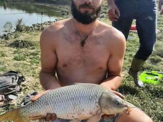 Pescuit si odihna! Ne aflam 10 km distanta de or. Riscani, in s. Moseni, 100 lei de unelta. foto 4