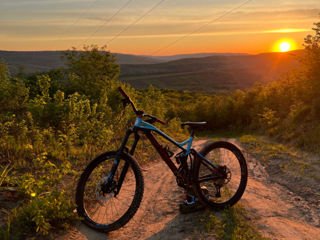 Mondraker dune R