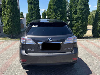 Lexus RX Series