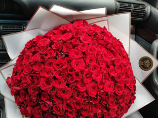 101 Trandafiri Angro Optom Ieftin 101 роза оптом доставка цветов livrare trandafiri